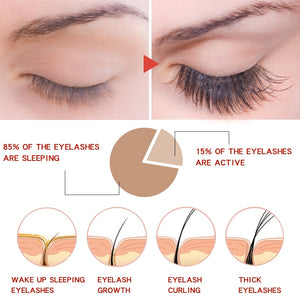 Herbal Eyelash Enhancer Serum/Essence for Curly, Long and Thick Eyelashes